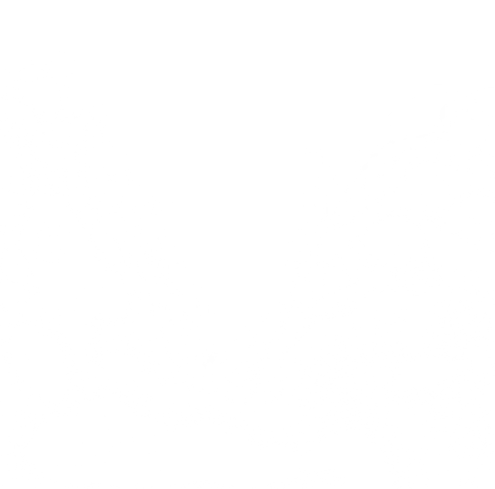 White Fog Illustration